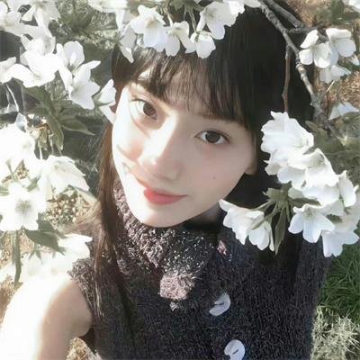 与螂共舞
